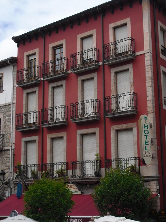 Hotel Los Robles Onís Kültér fotó
